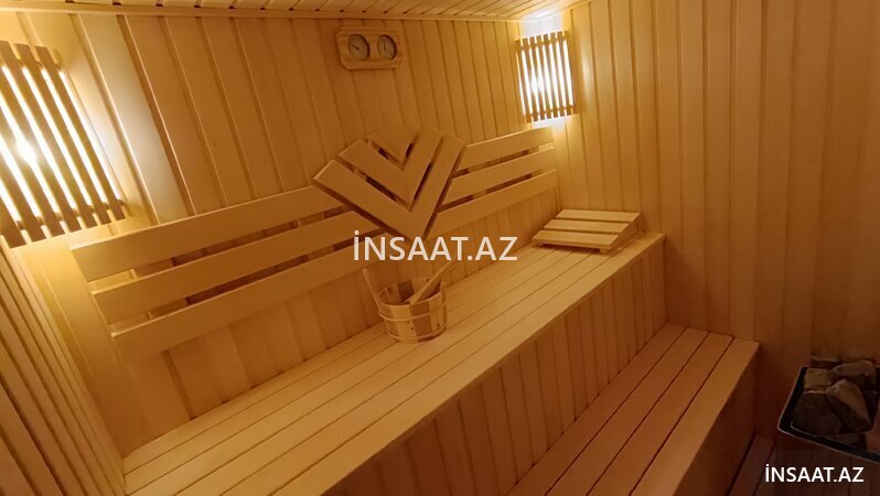 Armut shaklidagi kokrak fotosurati Mushuk vakuumda