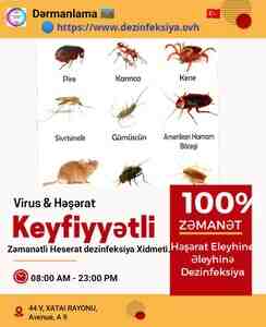 Dezinfeksiya xidməti Dezinfeksiya xidməti