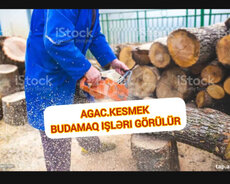 Ağac kəsimək budamaq işləri görülür