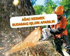 Ağacların kəsilməsi budamaq işləri aparı