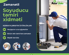 Peşəkar Soyuducu Təmiri