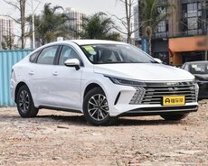 Byd icarə