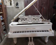 royal daşıma
