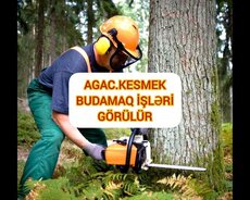 Ağac kesmek budamaq işləri görülür