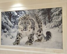 3D Foto Oboy Vurulması