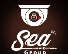 Hər Çür İt Xidmətləri