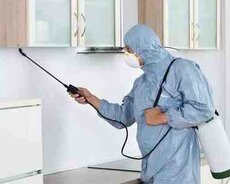 Dezinfeksiya xidməti