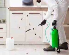 Dezinfeksiya xidməti