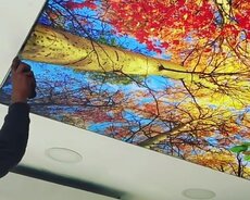 Dartma tavan dartma tavanlar topdan satı