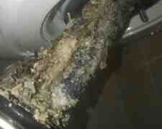 Su qızdırıcısı Ariston təmiri