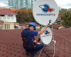 Antena, krosna, peyk Usta