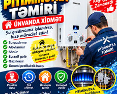 Pitiminutka ustasi