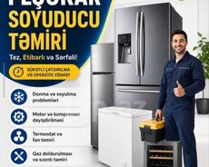 Soyuducu ustasi zəmanətli peşəkar təmiri