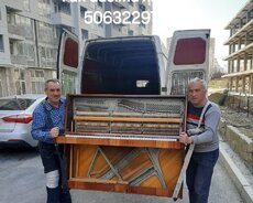 Pianino və royalarin dasinilmasi