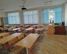 Zebra jalüz növü