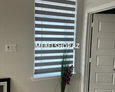 Zebra günlük modeller