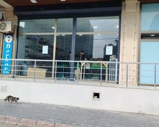 Avtomatik fotoselli şüşə qapılar